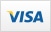 Visa credit card logo displayed on white background for payment options.